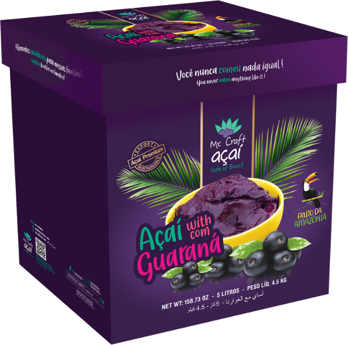Açaí Mr. Craft Formato 5L